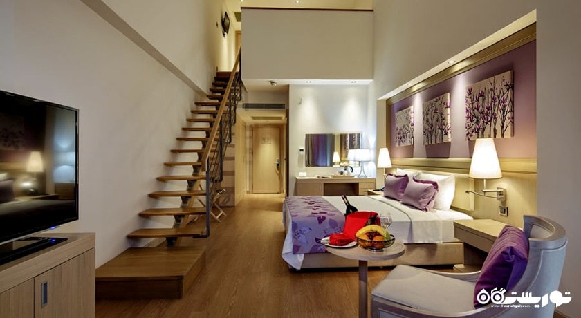 نمای کلی سوئیت دلوکس